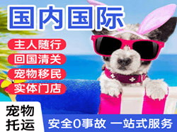 忻州五台山机场空运国际宠物托运 【国